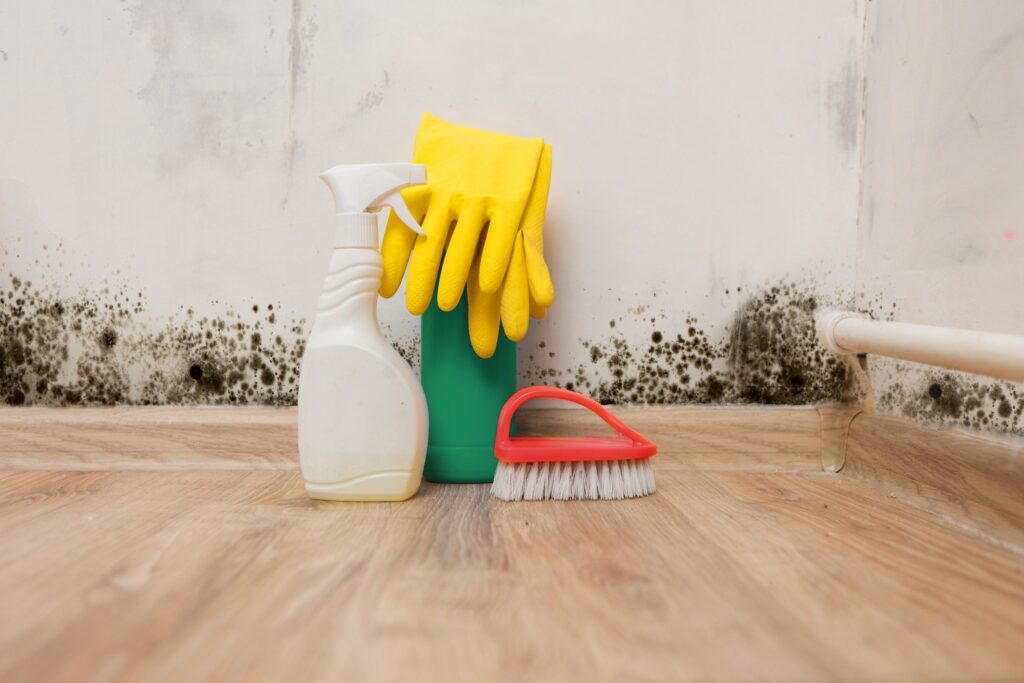 cleaning mold removal