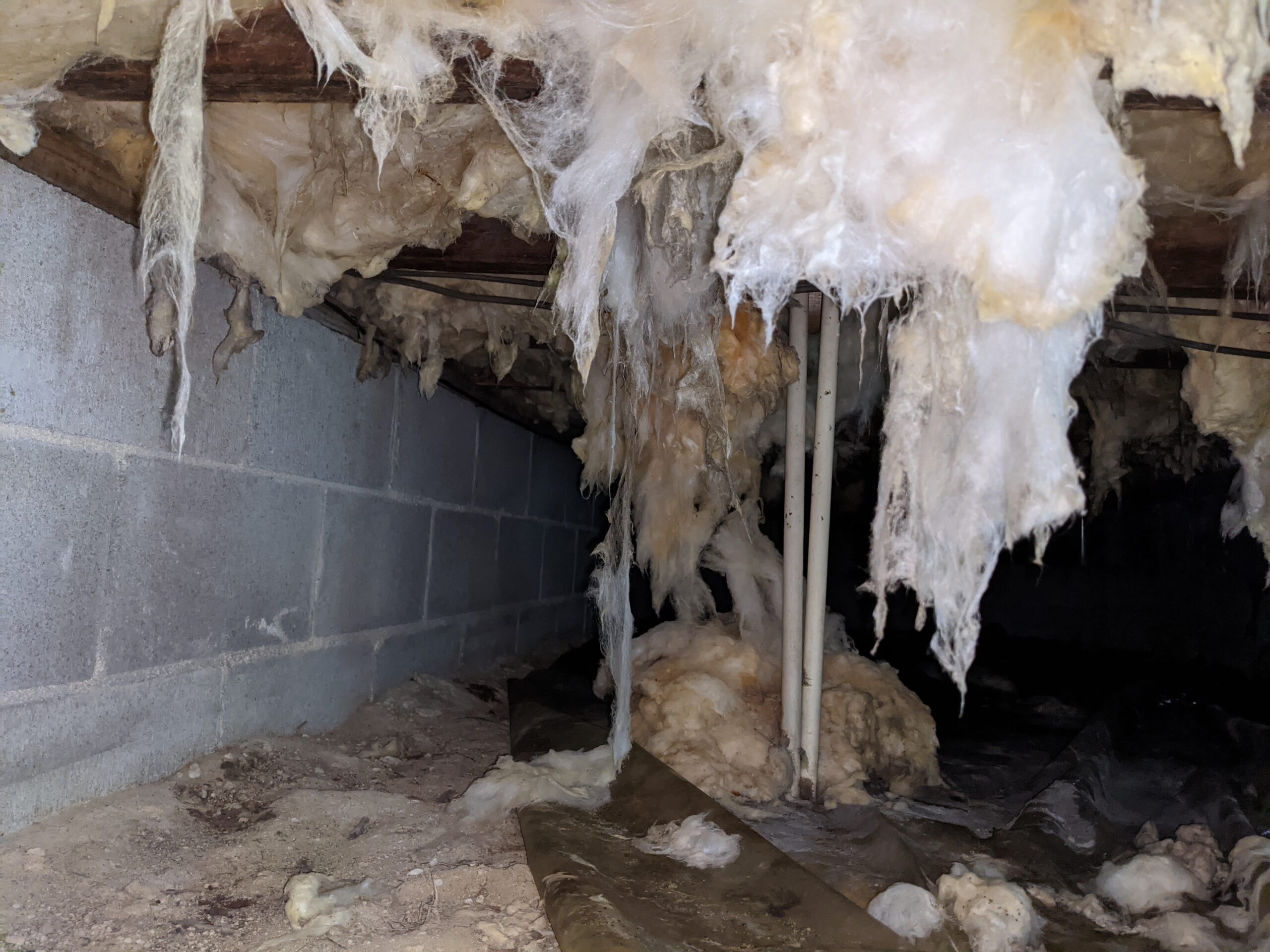 A Crawl Space Before Cleaning | Crawl Space Contractor Delmarva